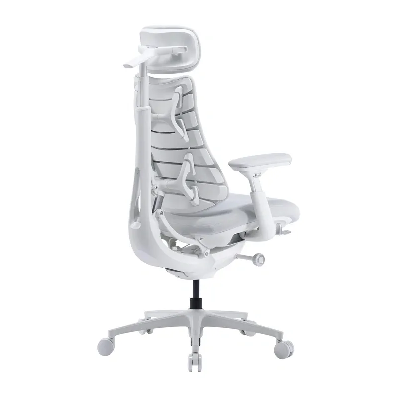 LiberNovo Omni Pro 45 cm Ergonomic Chair (White)